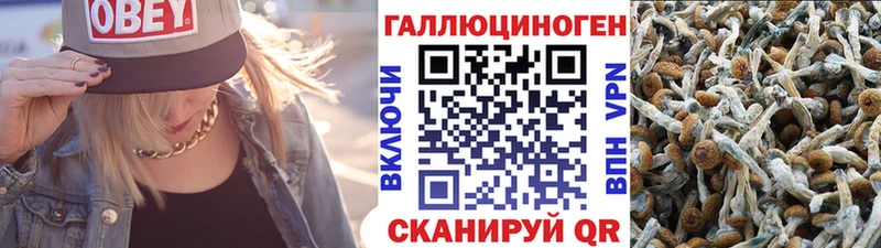 Галлюциногенные грибы ЛСД  Купить  Маркс 